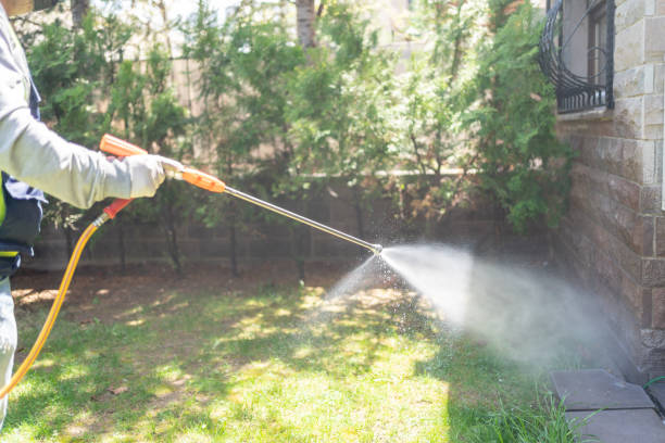 Best Bird Control  in Sibley, LA